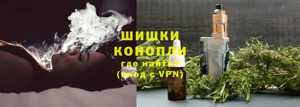 ГАЛЛЮЦИНОГЕННЫЕ ГРИБЫ Каменка
