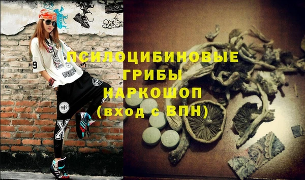 дмт Каменногорск