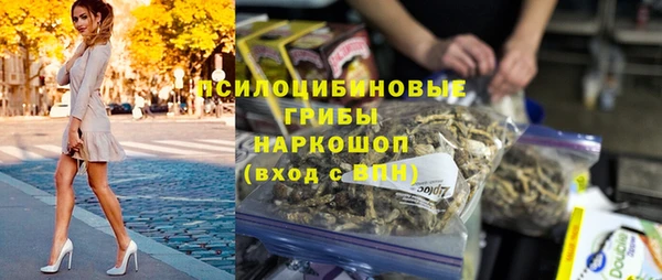 дмт Каменногорск