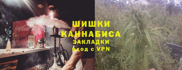 ГАЛЛЮЦИНОГЕННЫЕ ГРИБЫ Каменка