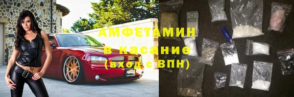 ГАЛЛЮЦИНОГЕННЫЕ ГРИБЫ Каменка