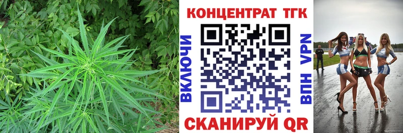 Купить закладки  Зеленоградск  ТГК Wax 